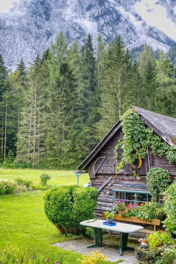 Haus Hildegard Appartement Tauplitz Buitenkant foto